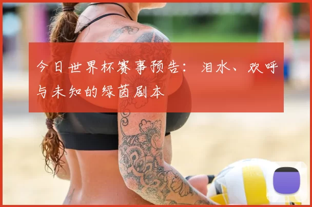 今日世界杯赛事预告:泪水、欢呼与未知的绿茵剧本