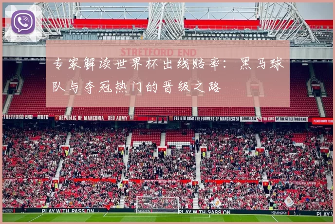 专家解读世界杯出线赔率：黑马球队与夺冠热门的晋级之路