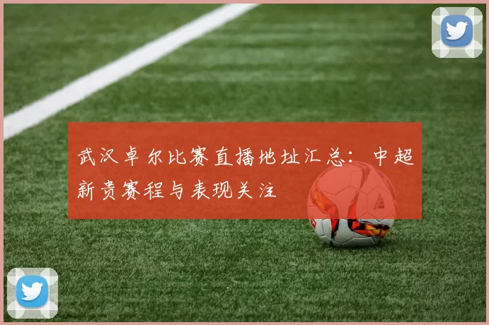武汉卓尔比赛直播地址汇总:中超新贵赛程与表现关注