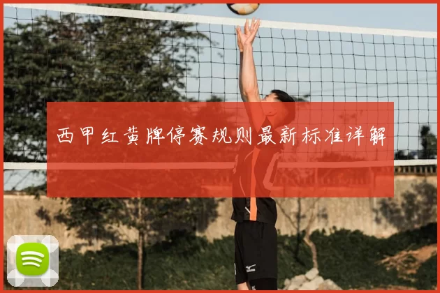 西甲红黄牌停赛规则最新标准详解