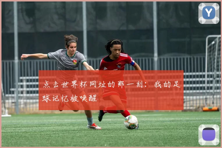 点击世界杯网址的那一刻:我的足球记忆被唤醒