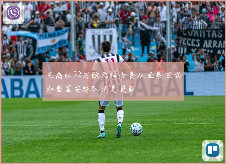 王禹以32万欧元转会费从亚泰正式加盟国安球队消息更新
