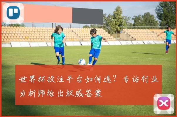 世界杯投注平台如何选?专访行业分析师给出权威答案