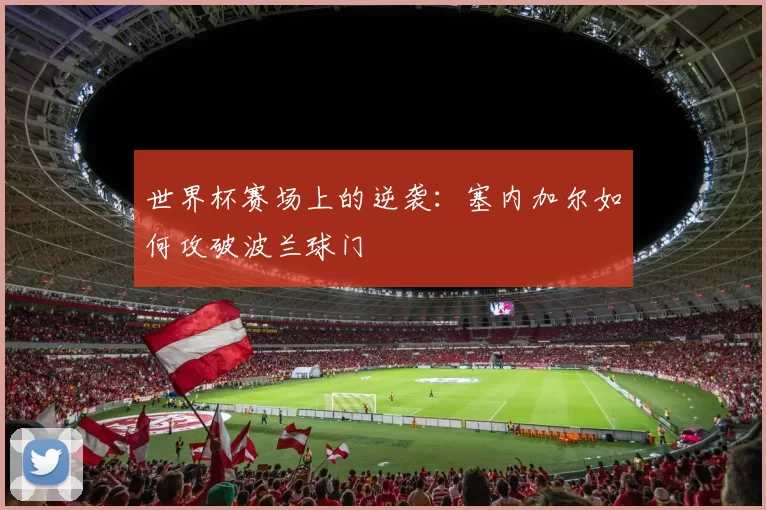 世界杯赛场上的逆袭:塞内加尔如何攻破波兰球门