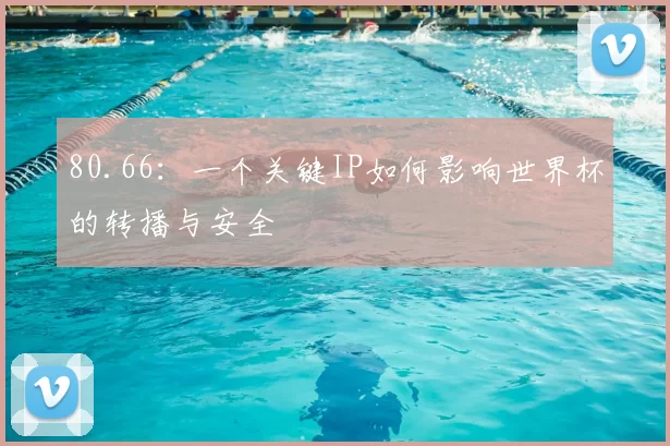 80.66:一个关键IP如何影响世界杯的转播与安全