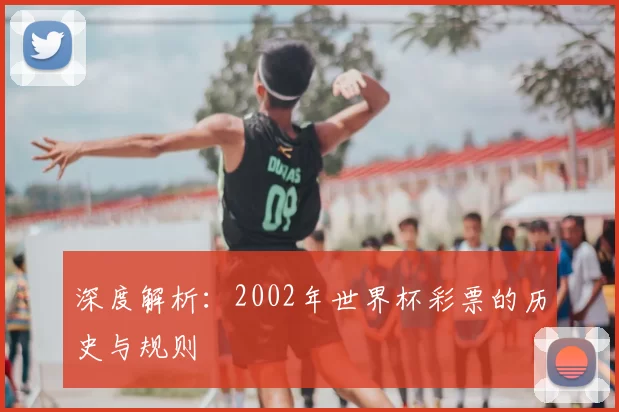 深度解析:2002年世界杯彩票的历史与规则