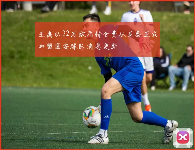 王禹以32万欧元转会费从亚泰正式加盟国安球队消息更新