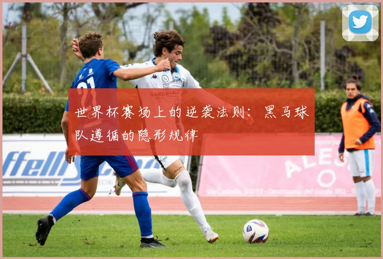 世界杯赛场上的逆袭法则:黑马球队遵循的隐形规律