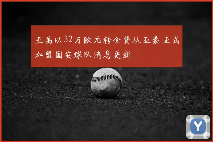 王禹以32万欧元转会费从亚泰正式加盟国安球队消息更新