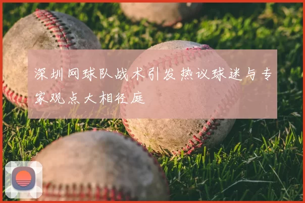 深圳网球队战术引发热议球迷与专家观点大相径庭