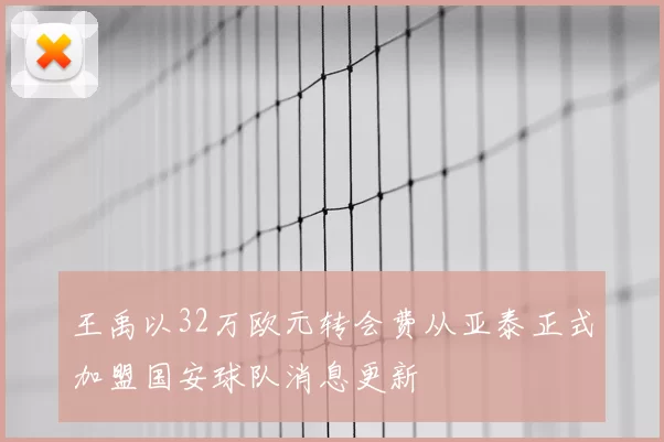 王禹以32万欧元转会费从亚泰正式加盟国安球队消息更新