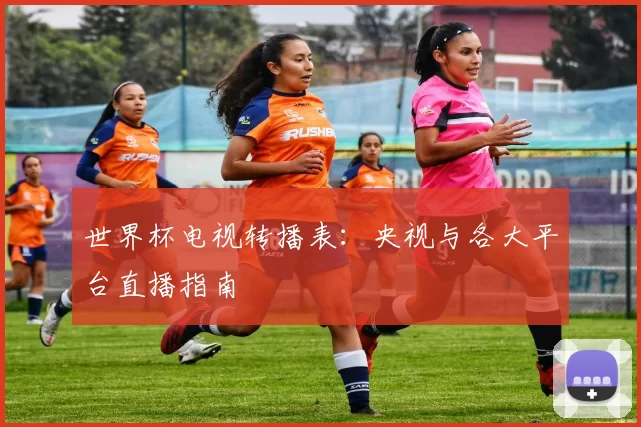 世界杯电视转播表：央视与各大平台直播指南