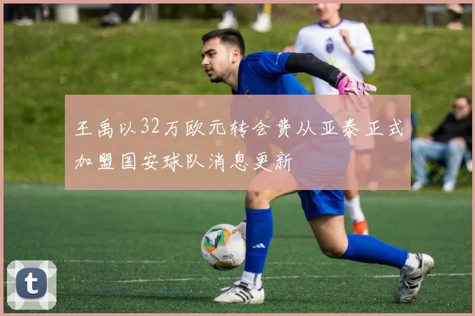 王禹以32万欧元转会费从亚泰正式加盟国安球队消息更新