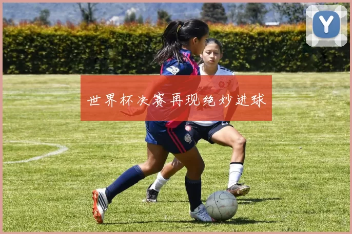 世界杯决赛再现绝妙进球
